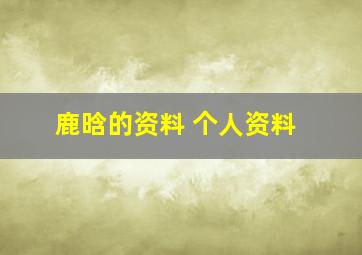 鹿晗的资料 个人资料